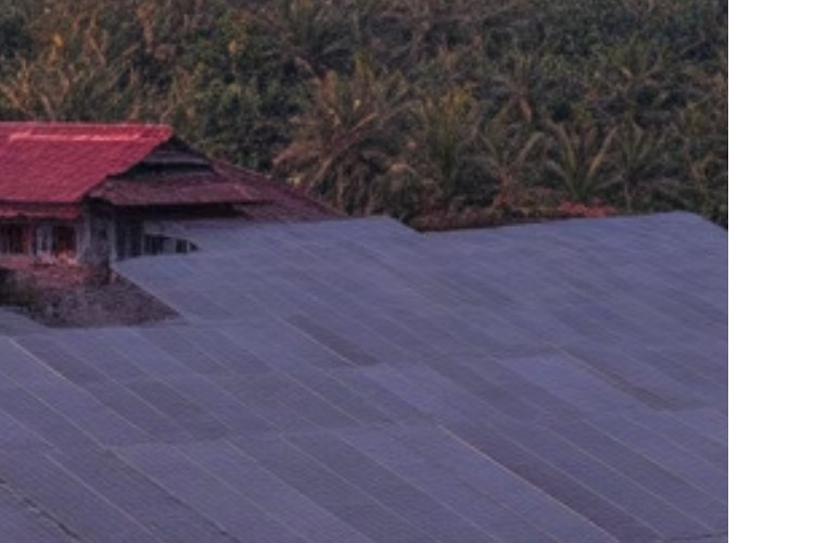Laterite at Perdala Estates, Kasaragod